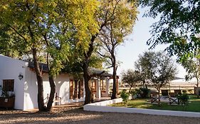Olyf Accommodation